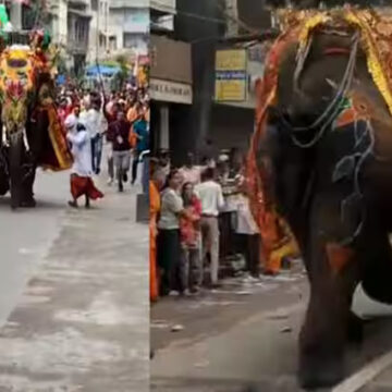 અમદાવાદ રથયાત્રામાં વધુ પડતા અવાજથી કેટલાક ગજરાજ ભડક્યા