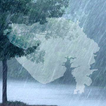 દાંતીવાડા, પાલનપુર, ડીસામાં વરસાદની તોફાની બેટિંગ; વડગામમાં 5 કલાકમાં 9 ઈંચ વરસાદ ખાબકયો