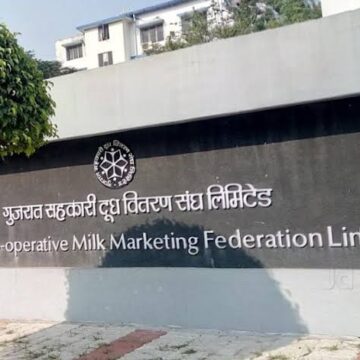 અશોક ચૌધરી બન્યા GCMMFના નવા ચેરમેન, મહેસાણા અને રાજકોટનો દૂધિયા રાજકારણમાં દબદબો