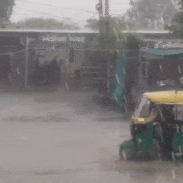 છેલ્લા 8 કલાકમાં ગુજરાતના 129 તાલુકામાં વરસાદ, તાપીના ડોલવણમાં સૌથી વધુ 5.2 ઈંચ વરસાદ