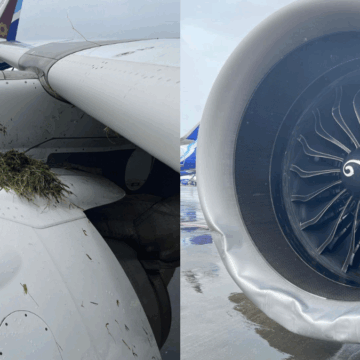 ભારે વરસાદમાં ટળી મોટી દુર્ઘટના, મુંબઇ એરપોર્ટ પર લેન્ડિંગ બાદ લપસ્યું એર ઇન્ડિયાનું વિમાન