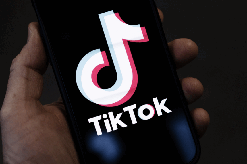 ભારતમાં TikTok પરનો પ્રતિબંધ યથાવત્, અનબ્લોક થવાનો દાવો ખોટો હોવાનું સરકારે સ્પષ્ટ કર્યું