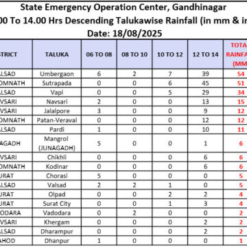 ગુજરાતમાં ઝરમરથી ધોધમાર સુધી: રાજકોટ-સુરત સહિત અનેક જિલ્લાઓમાં ભારે વરસાદ