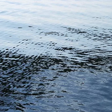 પંચમહાલમાં દુર્ઘટના: તળાવમાં ડૂબી જવાથી 12 વર્ષના કિશોરનું કરુણ મોત