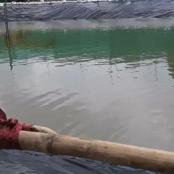 અમદાવાદમાં ગણેશોત્સવ: 8 કરોડના ખર્ચે 49 વિસર્જન કુંડની સુવિધા