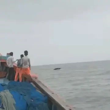 જાફરાબાદ દરિયામાં મળ્યો વધુ એક માછીમારનો મૃતદેહ, 8 હજુ પણ લાપતા