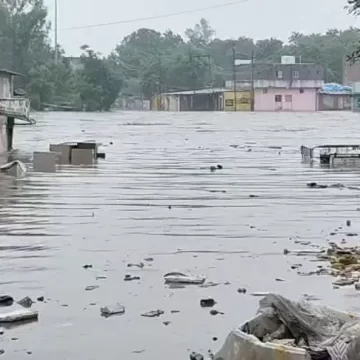 ગોધરામાં ભારે વરસાદી આફત: ઘરો અને દુકાનોમાં પાણી ઘૂસતા લોકો પરેશાન, તંત્ર સામે આક્રોશ