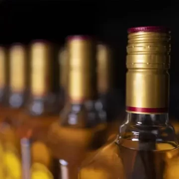 પાનોલી GIDCમાં રૂ.68.47 લાખનો દારૂનો જથ્થો ઝડપાયો, ડ્રાઈવર પકડાયો, ત્રણ ફરાર