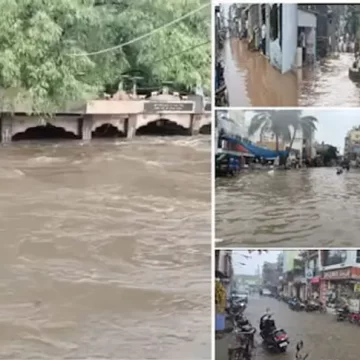 ગુજરાતમાં સિઝનનો 80% વરસાદ, વલસાડમાં સર્વાધિક 78 ઈંચ વરસાદ, 167 તાલુકામાં 20 ઈંચથી વધુ