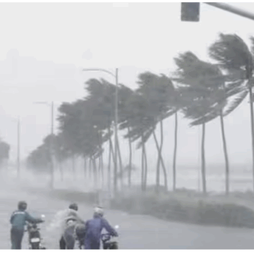 બંગાળની ખાડીમાં સાઇકલોનિક સર્ક્યુલેશનથી નવરાત્રિમાં ગુજરાતમાં ભારે વરસાદની આગાહી