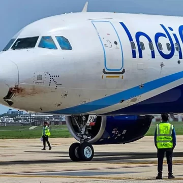 ઈન્ડિગો ફ્લાઈટ પર પક્ષી અથડાયું, નાગપુરમાં ઈમરજન્સી લેન્ડિંગ કરાવવું પડ્યું