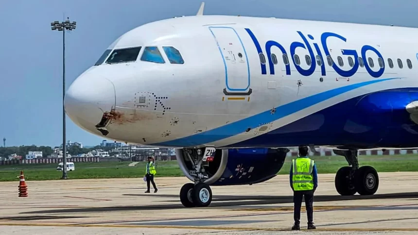 ઈન્ડિગો ફ્લાઈટ પર પક્ષી અથડાયું, નાગપુરમાં ઈમરજન્સી લેન્ડિંગ કરાવવું પડ્યું