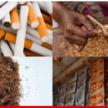 GST સુધારા: સિગારેટ-તમાકુ પર 40% GST, બીડી માટે માત્ર 18% – કારણ શું?