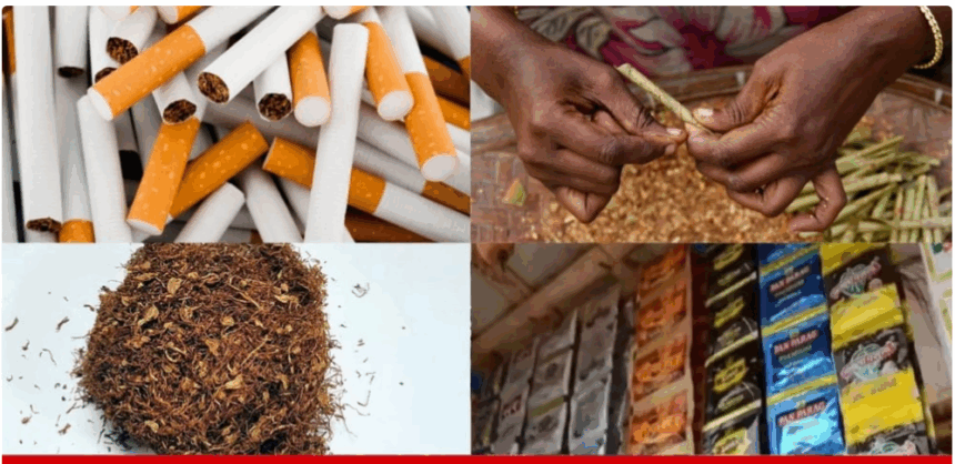 GST સુધારા: સિગારેટ-તમાકુ પર 40% GST, બીડી માટે માત્ર 18% – કારણ શું?