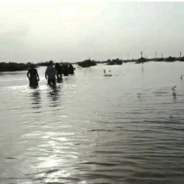 પાટણના સાંતલપુરમાં નદીમાં 12 યુવકો ડૂબવાની ઘટના, મૃત્યુઆંક 5, SDRF દ્વારા શોધખોળ ચાલુ