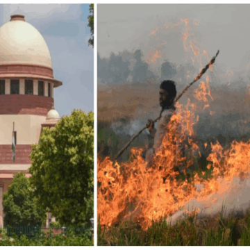 પરાળી સળગાવાની સમસ્યાએ સુપ્રીમ કોર્ટનું કડક વલણ: “અમુકને જેલમાં નાંખો તો બધા સીધા થઈ જશે”