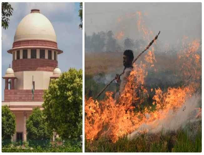 Supreme Court on Stubble Burning પરાળી સળગાવાની સમસ્યાએ સુપ્રીમ કોર્ટનું કડક વલણ: “અમુકને જેલમાં નાંખો તો બધા સીધા થઈ જશે”