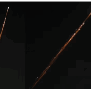 દિલ્હી-એનસીઆરમાં જોવા મળ્યો અદ્ભૂત ઉલ્કાપિંડનો નજારો, લોકોમાં ઉત્સુકતા અને ચિંતા બંને જગાવી