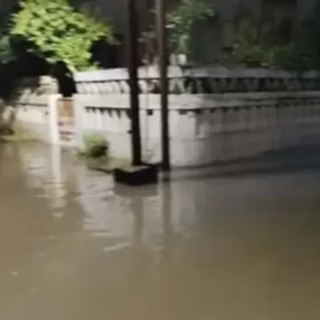 વડોદરાની તરૂણનગર સોસાયટી વરસાદી પાણીથી બેટમાં ફેરવાઈ, રહીશો પરેશાન